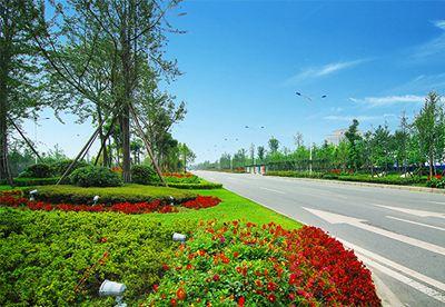 �����̻�����