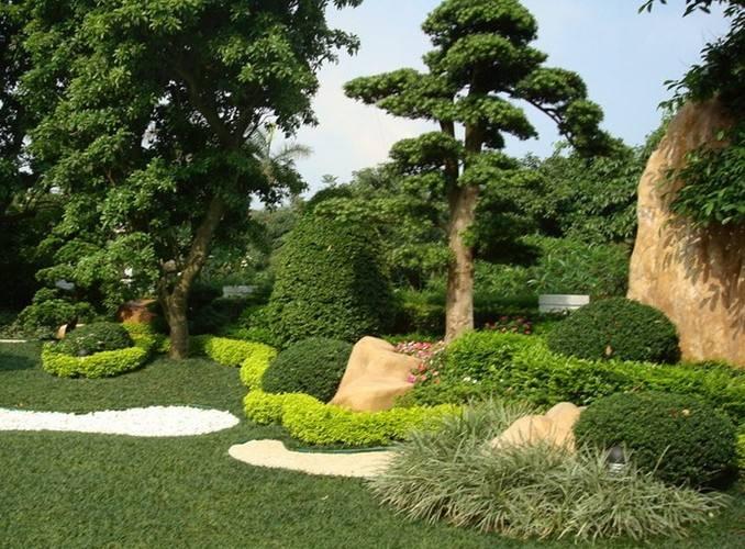 �����̻�����