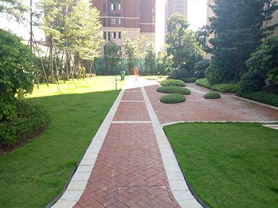 �����̻�����