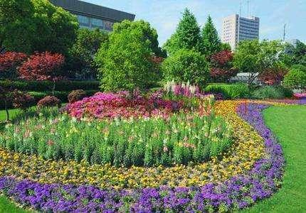 �����̻�����