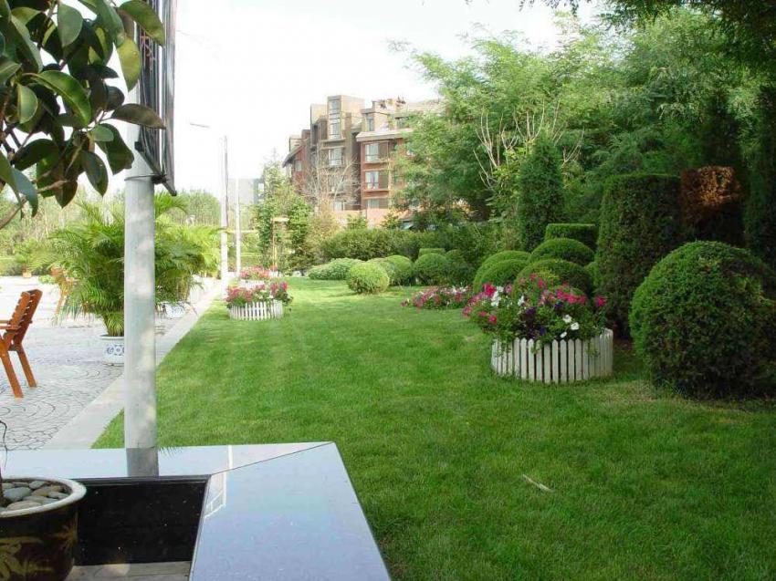 �����̻�����