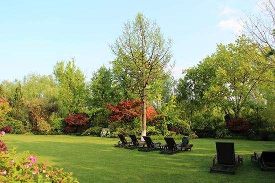 �����̻�����