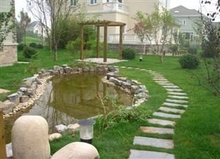 �����̻�����